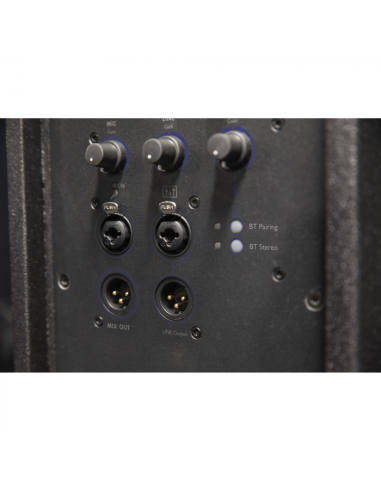 Enceinte active DAP NRG-10A