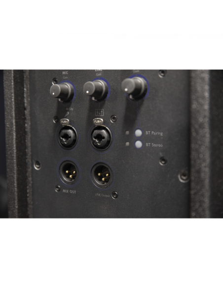 Enceinte active DAP NRG-10A