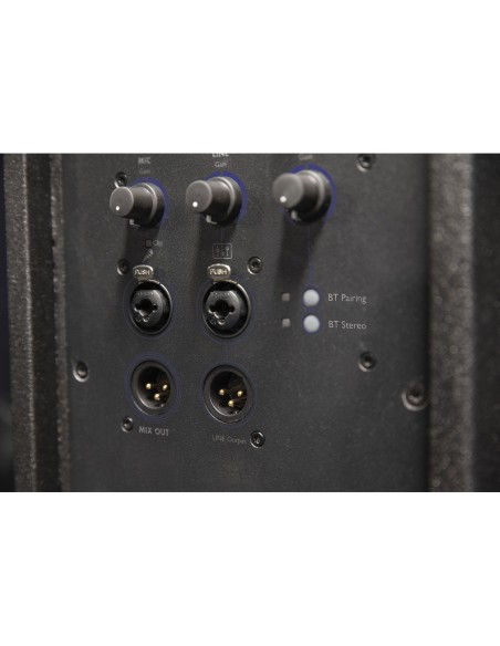 Enceinte active DAP NRG-12A