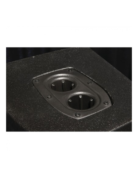 Enceinte passive DAP NRG-10