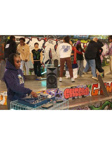 AlphaTheta DJ OMNIS-DUO