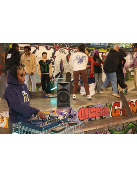 AlphaTheta DJ OMNIS-DUO